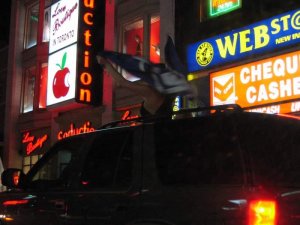 Downtown Toronto after Leafs won the Quarter Finals 49.JPG